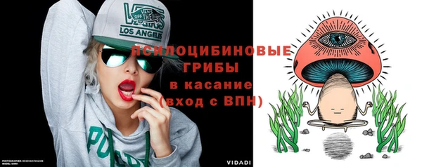 дмт Снежногорск
