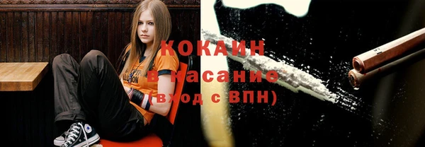 крисы Слюдянка