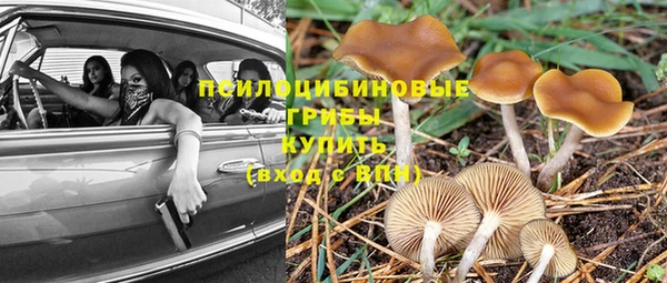 ALPHA PVP Беломорск