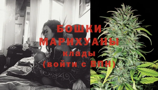 гашик Белоозёрский