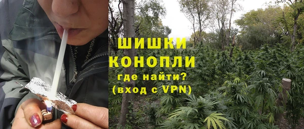 гашик Белоозёрский