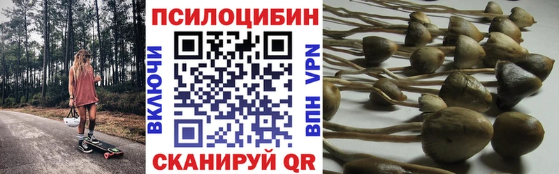 Псилоцибиновые грибы мицелий  Чухлома 